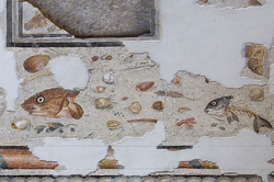 Una visione generale della parte bassa del pannello musivo, esposto presso il MAN di Aquileia. Al centro, si nota l’emblema in cassetta